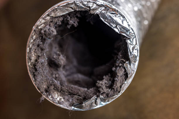 Best Air Vent Cleaning Services  in Highlandville, MO